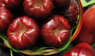 莲雾好吃吗 黑金刚莲雾好吃吗