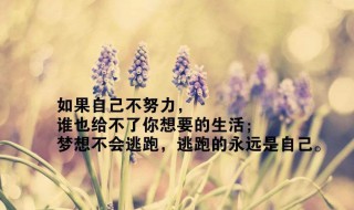 鼓励别人的话 鼓励别人的话又带点幽默