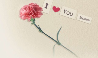 感恩母亲的诗（感恩母亲的诗句）