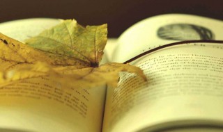 带风字的诗句（带风字的诗句100首）