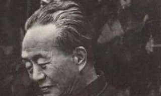 艾青的诗歌 艾青的诗歌具有什么特点