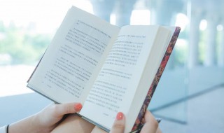 春日的诗意 六年级上册春日的诗意