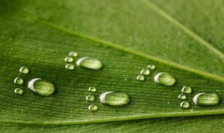 关于雨的谚语 关于雨的谚语有哪些