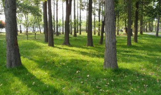 保护环境的广告语(保护环境的广告语20条)