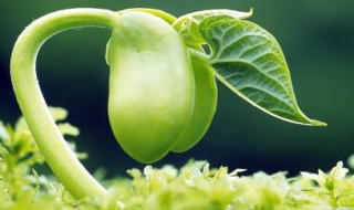 生命的名言70句（生命的名言大全）