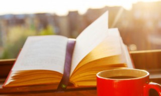 修辞手法的句子（修辞手法的句子短句）