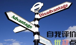 试用期自我评价 试用期自我评价及工作总结