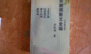 余秋雨散文赏析（余秋雨散文欣赏）