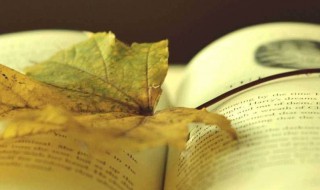 勤奋学习的名言警句 关于勤奋好学的名句