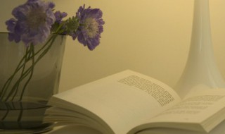 张中丞传后叙原文（张中丞传后叙原文拼音）