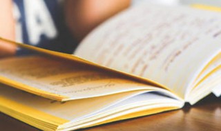 传统文化作文（传统文化作文800字高中）