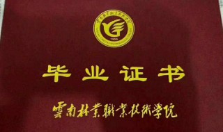 大专毕业生自我鉴定(大专毕业生自我鉴定500字)