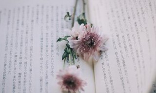 关于梦想的演讲 关于梦想的演讲稿