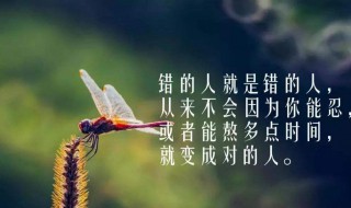 人生感悟经典名言 人生感悟经典名言短句