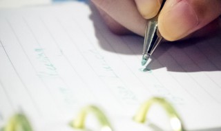 油菜花作文 油菜花作文400字四年级