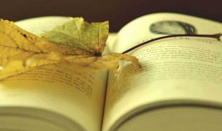 推荐一本克制物欲的书 推荐一本克制物欲的书籍