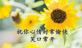 祝福朋友的话（祝福朋友的话语 暖心八个字）