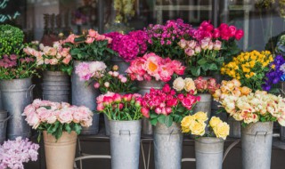 花朝节的风俗（花朝节的风俗有3项内容）