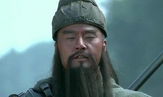 放虎归山主要讲了什么(放虎归山故事简介)