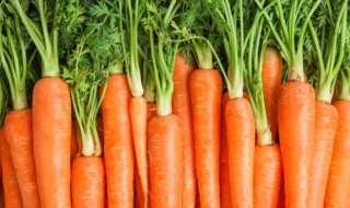 烤红萝卜片做法步骤 烤红萝卜片怎么做