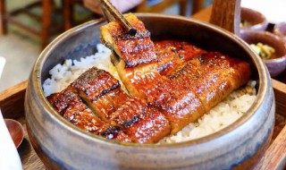 红烧鳗鱼饭 红烧鳗鱼饭怎么做好吃