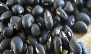 黑江豆功效与作用禁忌 黑江豆长什么样