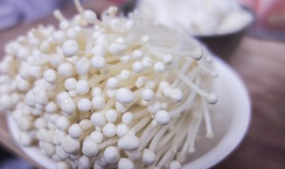 蚝油金菇（耗油金针菇的做法菜谱窍门）