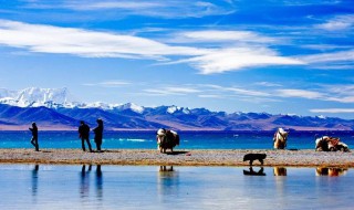 西藏十大最佳旅游景点（西藏十大最佳旅游景点图片）