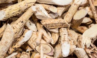 牛大力枸杞泡酒的功效与作用 牛大力枸杞泡酒的功效与作用及禁忌