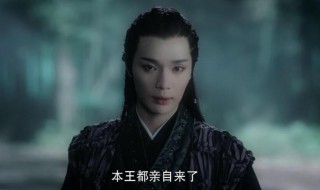 山河令蝎王有什么故事（山河令蝎王之死）