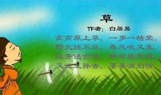 白居易名诗20首(白居易名诗20首卖炭翁)