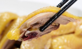 橄榄油白切鸡 橄榄油白切鸡的做法