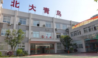 北大青鸟学校简介 北大青鸟学校简介及图片