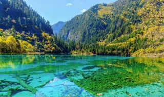 九寨沟什么季节去最好（九寨沟什么季节去最好看风景）