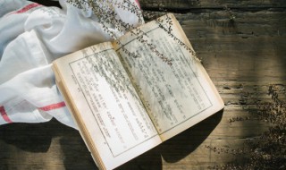 翩若惊鸿婉若游龙什么意思（翩若惊鸿婉若游龙）