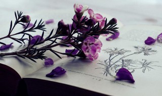 体重不过百后面一句是什么 体重不过百下一句是啥