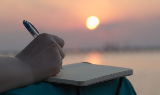 呼作白玉盘的白玉盘指什么