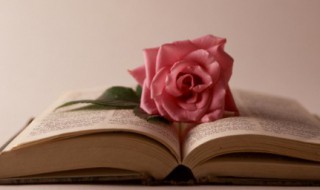 古代后宫嫔妃的等级（古代后宫嫔妃等级表长一点）