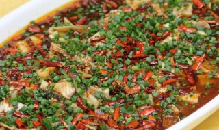 来凤鱼具体是什么鱼 来凤鱼是什么鱼黑色鱼皮