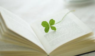 用是也是造句 是......也是......写句子