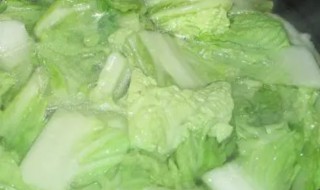 白水煮菜怎样做好吃（白水煮菜的做法大全）