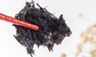 紫菜怎样做好吃 紫菜怎样做好吃的零食