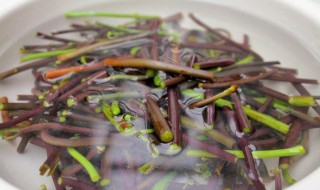 蕨菜泡了两天还能吃吗 蕨菜泡了两天还能吃吗视频