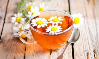 菊花茶有哪些功效和禁忌（菊花茶有什么功效与禁忌）