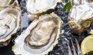 牡蛎用高压锅蒸几分钟（牡蛎高压锅蒸多长时间）