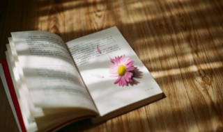 虽然可是造句（虽然可是造句子）