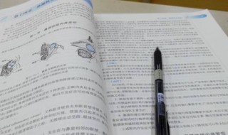 一点儿造句 一点儿造句子二年级