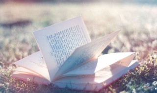 忘却造句（忘却造句子二年级）