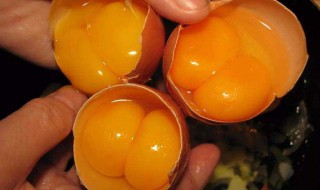 女生吃到双黄蛋的寓意 女生吃到双黄蛋的寓意什么