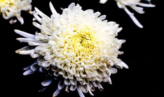 清明祭英烈优秀手抄报内容（清明祭英烈手抄报内容大全）